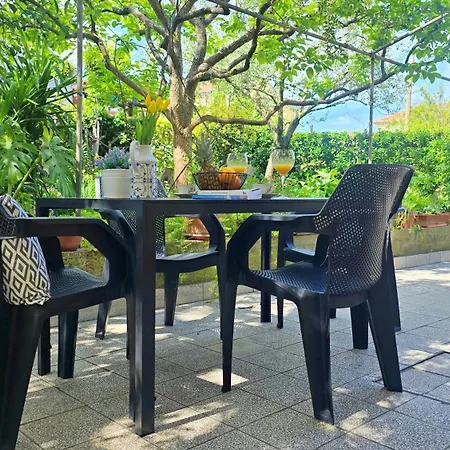 Suzy's Botanica Apartamento