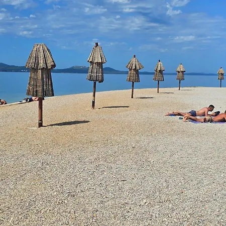 Suzy's Botanica * Zadar