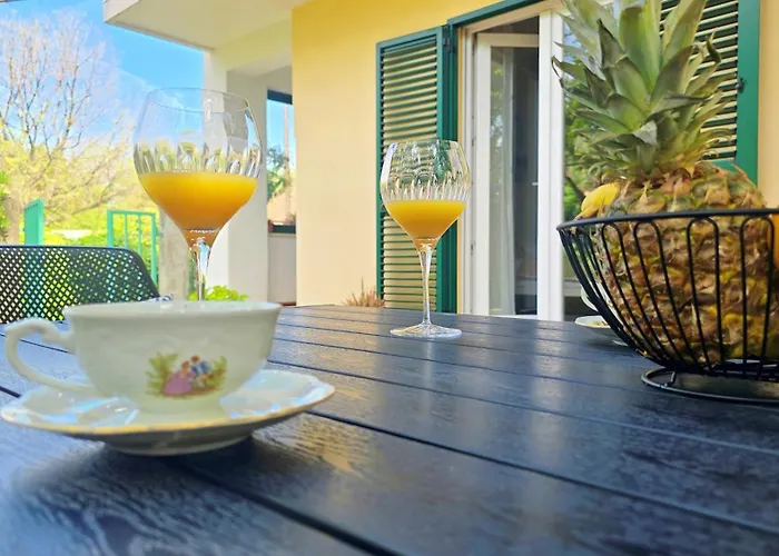 Suzy's Botanica Апартаменти Задар