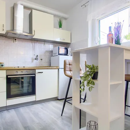 Suzy's Botanica Apartament