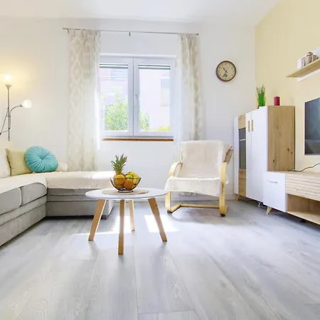 Suzy's Botanica 扎达尔