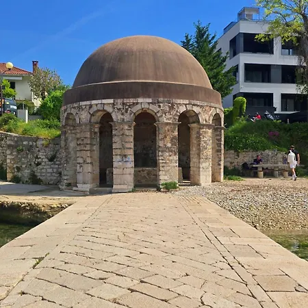 公寓 Suzy's Botanica *